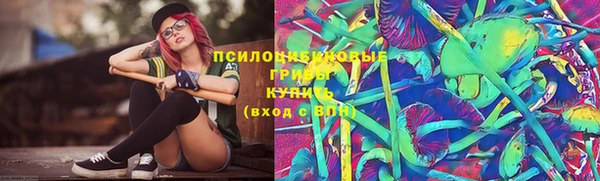 прущая мука Аркадак