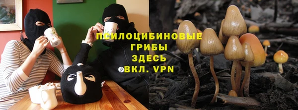 mix Пересвет